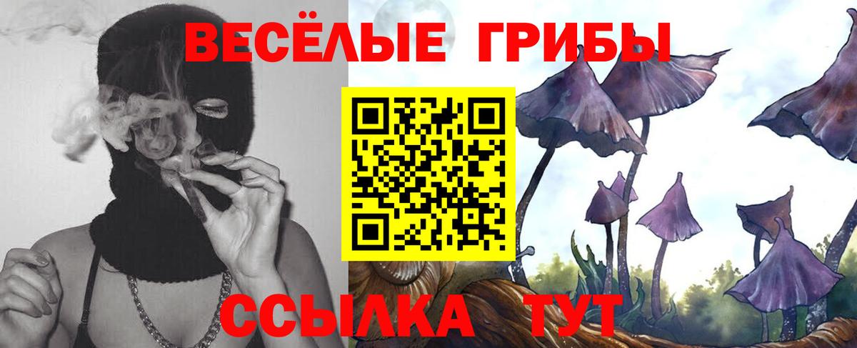 Галлюциногенные грибы Magic Shrooms Фрязино