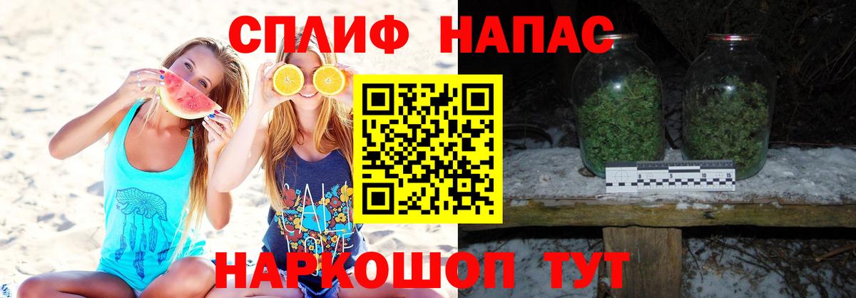 Бошки Шишки гибрид Фрязино